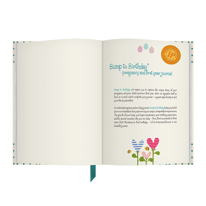 Bump to Birthday, pregnancy &amp; first year journal | Memory book for 